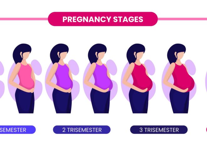 Pregnancy Week by Week: A Guide for First-Time Moms