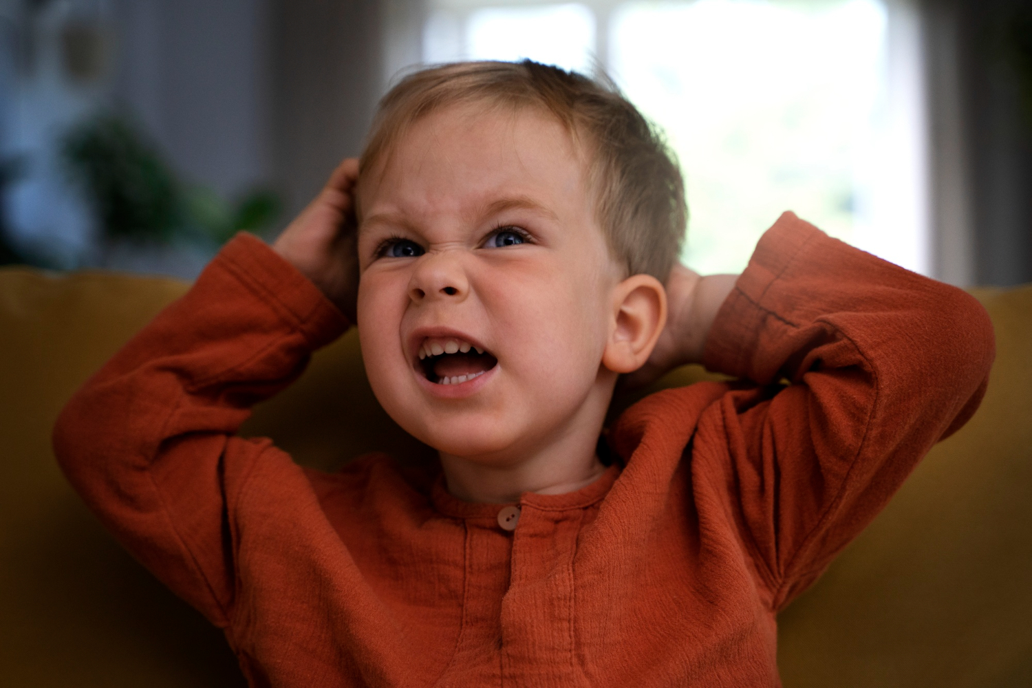 Toddler Meltdowns: Strategies to Tame the Tantrum Storm