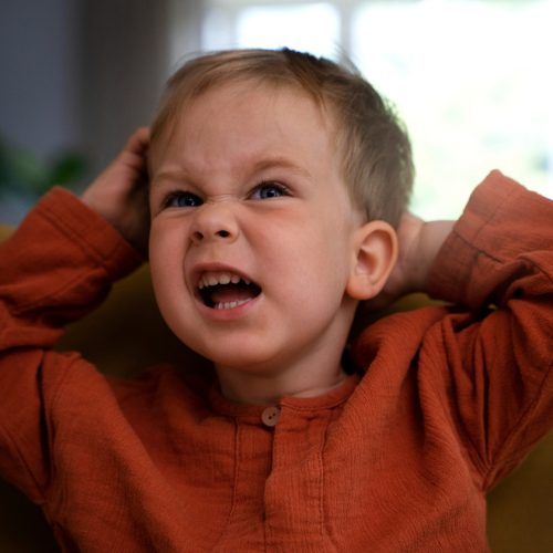 Toddler Meltdowns: Strategies to Tame the Tantrum Storm